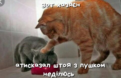 ъ ЙТИСКЭЗЩП ШТОЯ З ПУШКОМ неділЮсь
