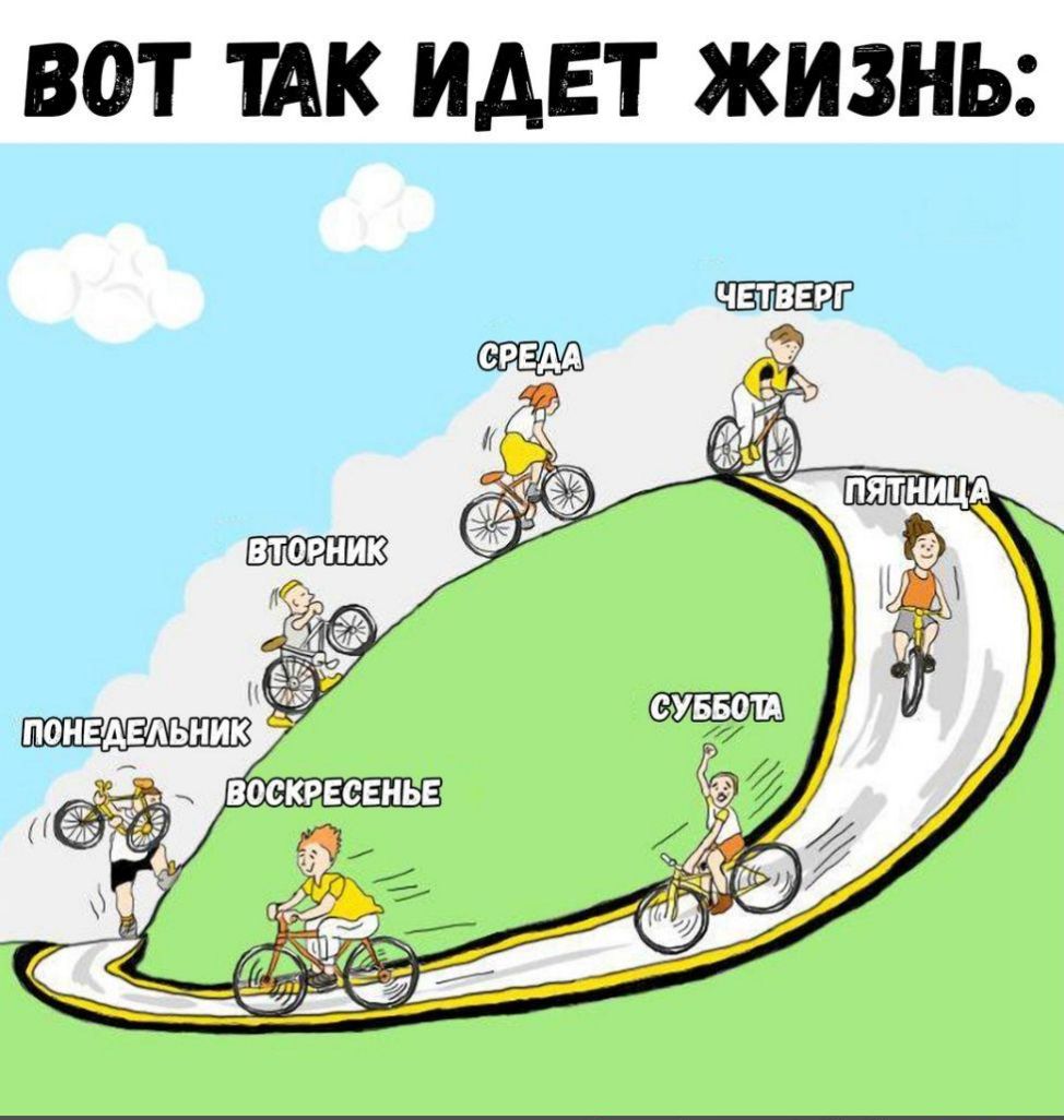 ВОТ ШК ИДЕТ ЖИЗНЬ