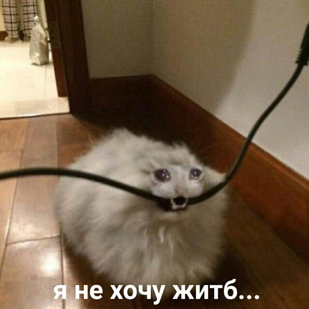 е хо у житб