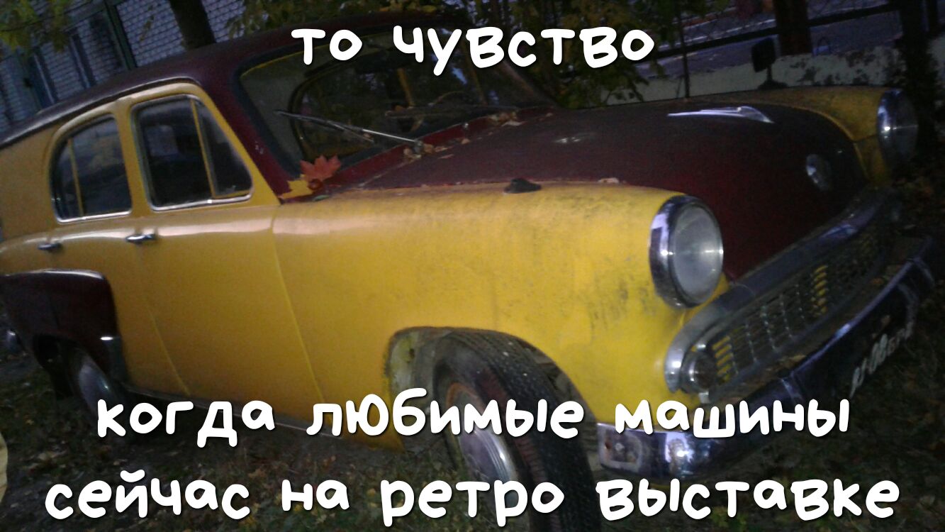 то чувство когда ЛЮБИЁЮ _ Шины сейчас на _рет о выставке