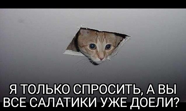 я тоййько спрббить А вы ВСЕ САЛАТИКИ УЖЕ ДОЕЛ И