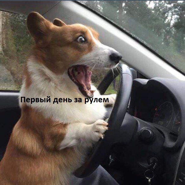 у _ ервый день за ле