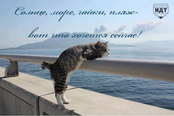 гр гайги и клА Ипа ша тии л тчіжт