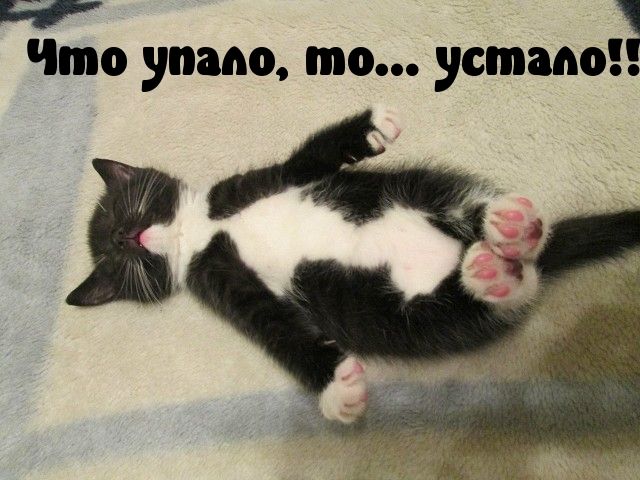 Ба 1 Что умно то устами 24
