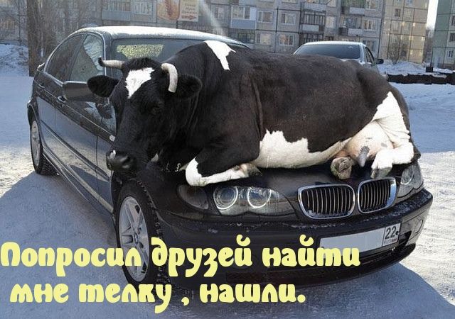 Попроспждарузеё наёкё мис тему иашмц