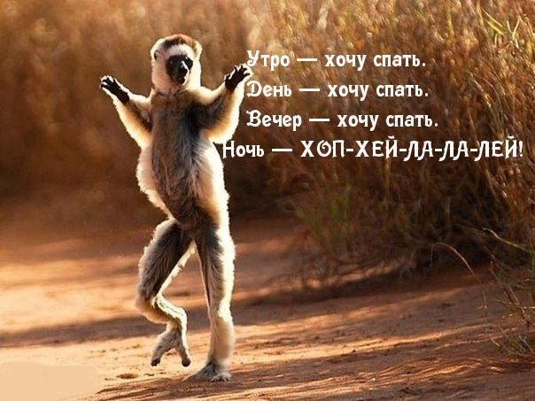 Вечер іочу спать очъ хеП ХЕЙ М М ШЁЙ