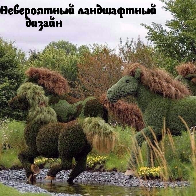 Неве оятиыіі ландшафтный иііи