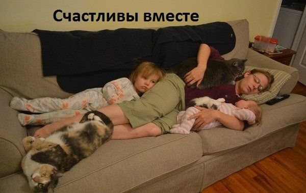 СЧЭСТЛИВЫ ВМЕСТЕ
