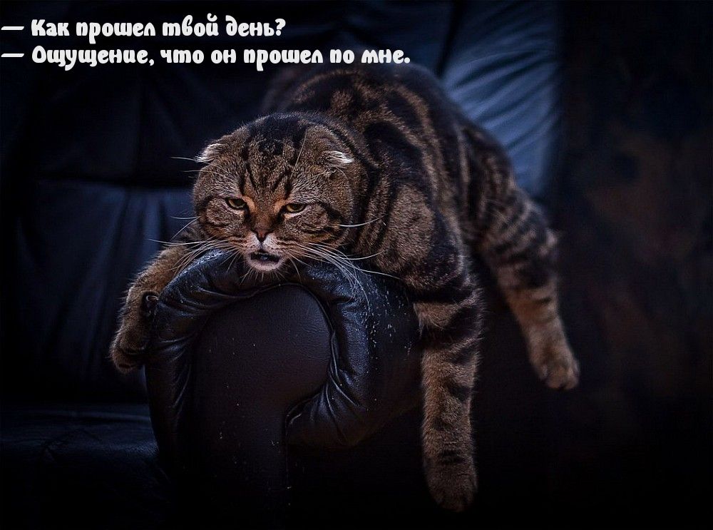 Как прошел тдоіі Бень Ощущение что он прошел по