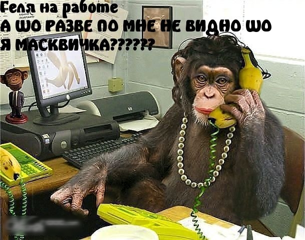 сп игра оіпеч шо РА епор