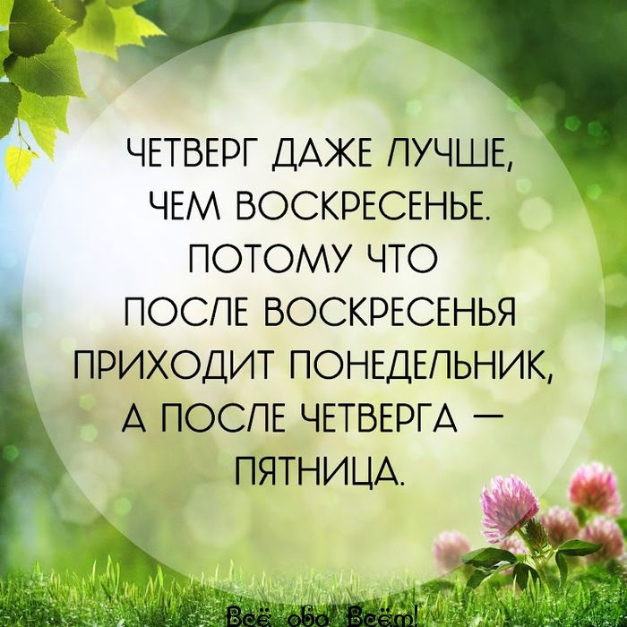 у ЧЕТВЕРГ ДАЖЕ ЛУЧШЕ ЧЕМ ВОСКРЕСЕНЬЕ ПОТОМУ ЧТО ПОСЛЕ ВОСКРЕСЕНЬЯ ПРИХОДИТ ПОНЕДЕЛЬНИК А ПОСЛЕ ЧЕТВЕРГА _ ПЯТНИЦА