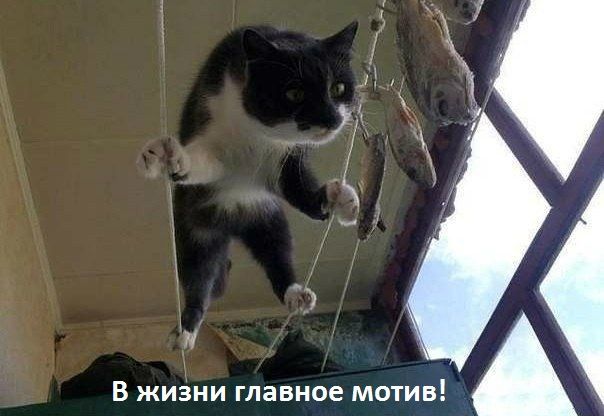 В ЖИЗНИ ГЛЗВНОЕ МОТИВ А