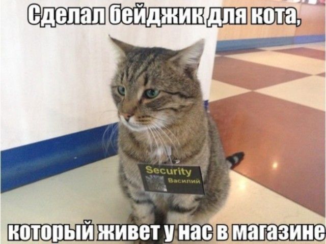 котопый