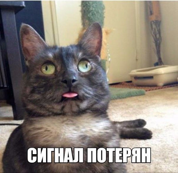 гг _ сиг Т