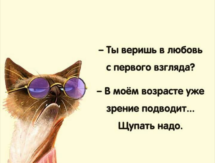 Ты веришь в любовь с первого взгляда В моём возрасте уже зрение подводит Щупать надо