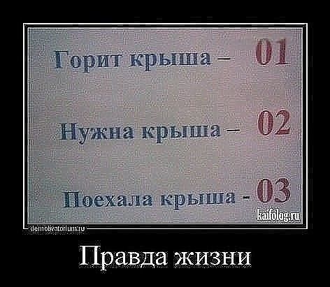 Правда ЖИЗНИ