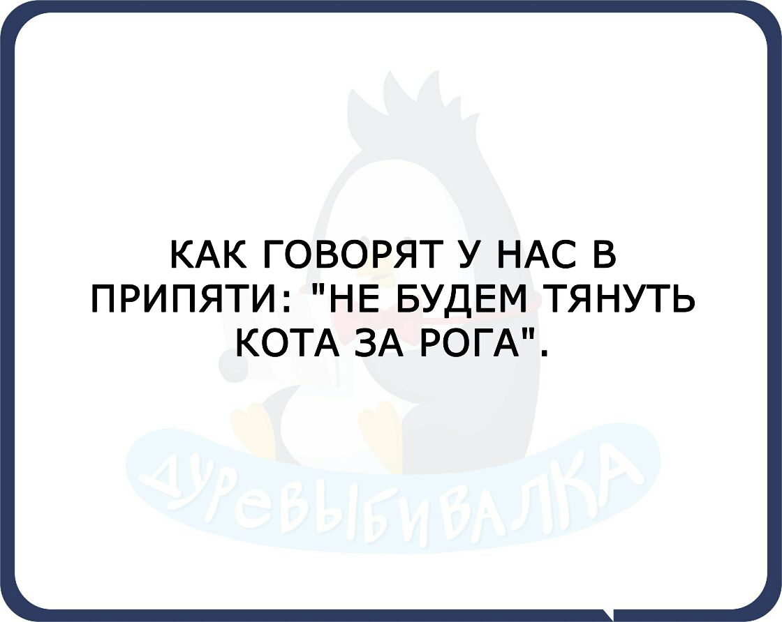КАК ГОВОРЯТ У НАС В ПРИПЯТИ НЕ БУДЕМ ТЯНУТЬ КОТА ЗА РОГА