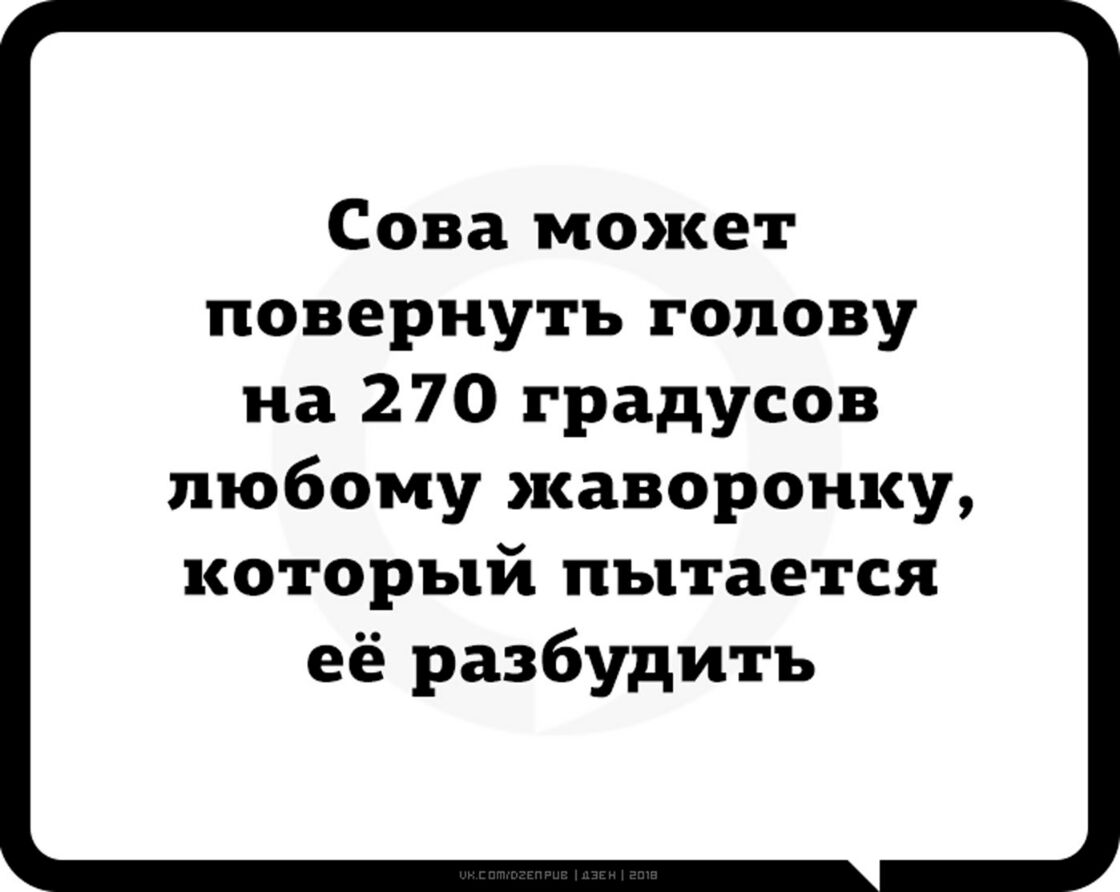 Сова может повернуть голову на 270 градусов любому жаворонку который пытается её разбудить