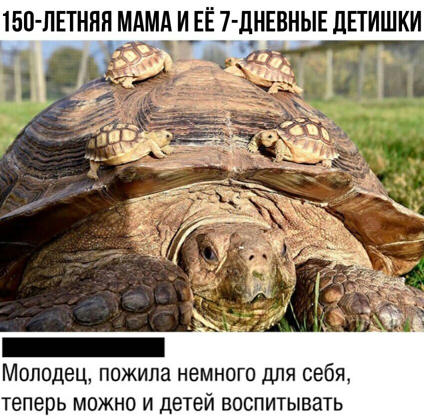 150 ЛЕТНЯЯ МАМА И ЕЕ 7 ДНЕВНЫЕ ДЕТИШКИ Молодец ПОЖИЛЗ НЭМНОГО ДЛЯ себя Теперь МОЖНО И ДЭТВЙ ВОСПИТЫВЗТЬ