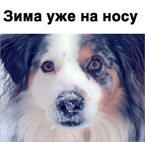 Зима уже на носу