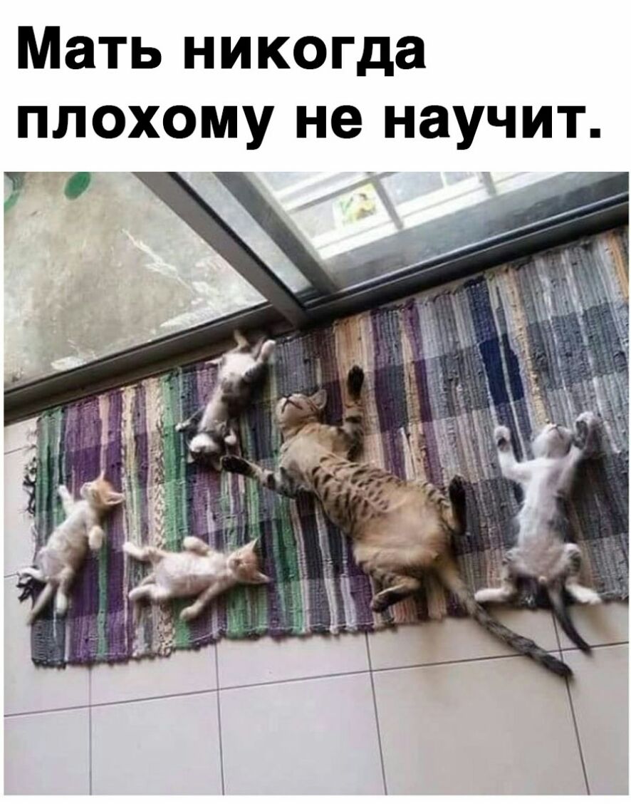 Мать никогда плохому не научит