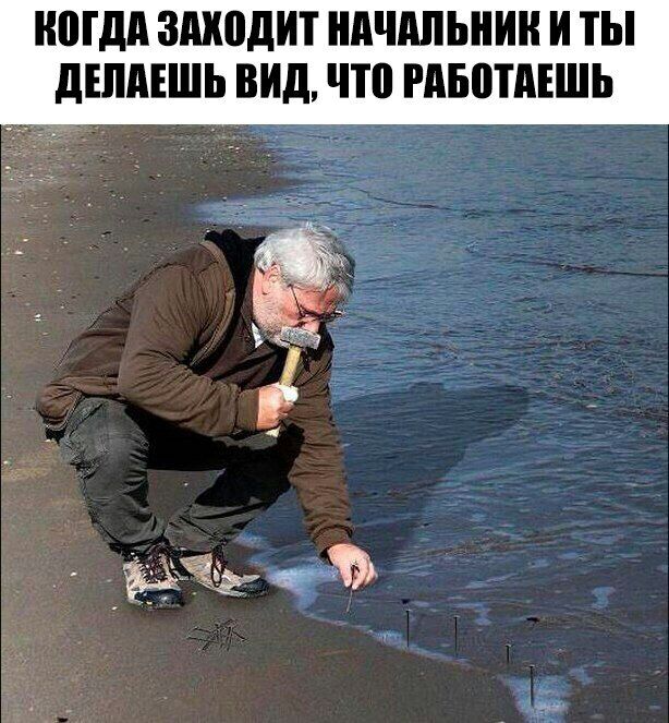 МДА ЗШШДИТ НАЧАЛЬНИК И ТЫ дШМШЬ ВИД ЧШ РАБШАЕШЬ