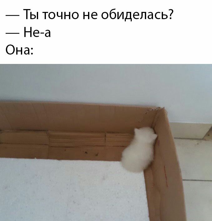 Ты точно не обиделась Неа Она