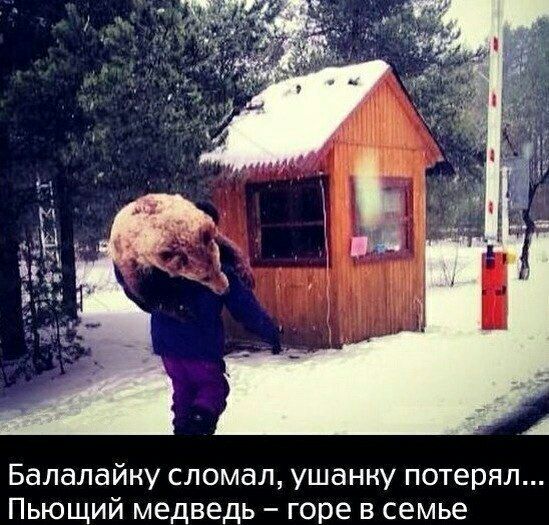 Балалайну сломал ушанку потерял Пьющий медведь горе в семье