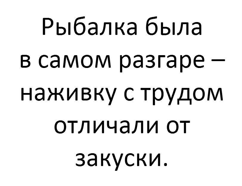Рыбалка была в самом разгаре наживку с трудом отличали от закуски