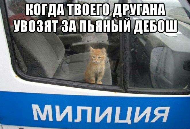 ЁШДА ТВПЕПЬДРУПША УВПЗЯТ Зд ЫБЙ дЕБВШ 71 МИЛИЦИЯ