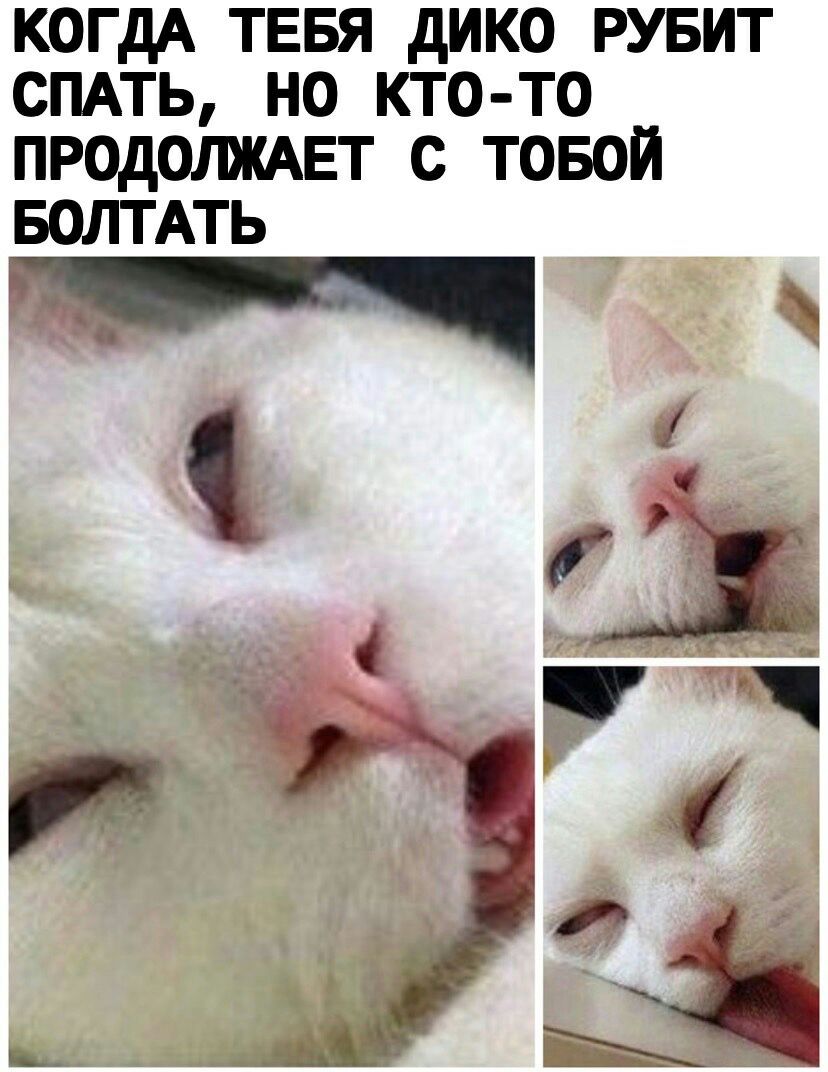 КОГДА ТЕБЯ дико рувит СПАТЬ но кто то ПР0д011ЖАЕТ с товой БОЛТАТЬ
