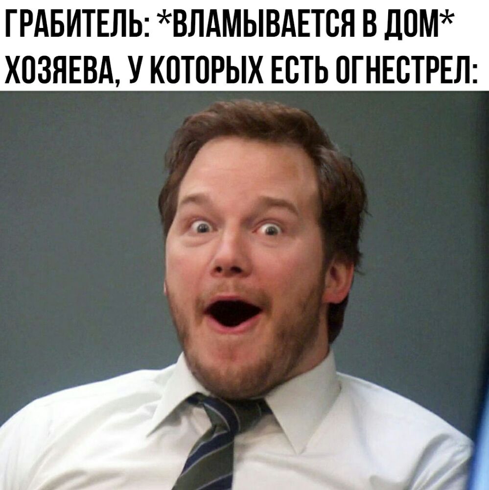 ГРАБИТЕЛЬ ВЛАМЫВАЕТСЯ В Д0М ХПЗЯЕВА У КОТОРЫХ ЕСТЬ ПГНЕСТРЕЛ