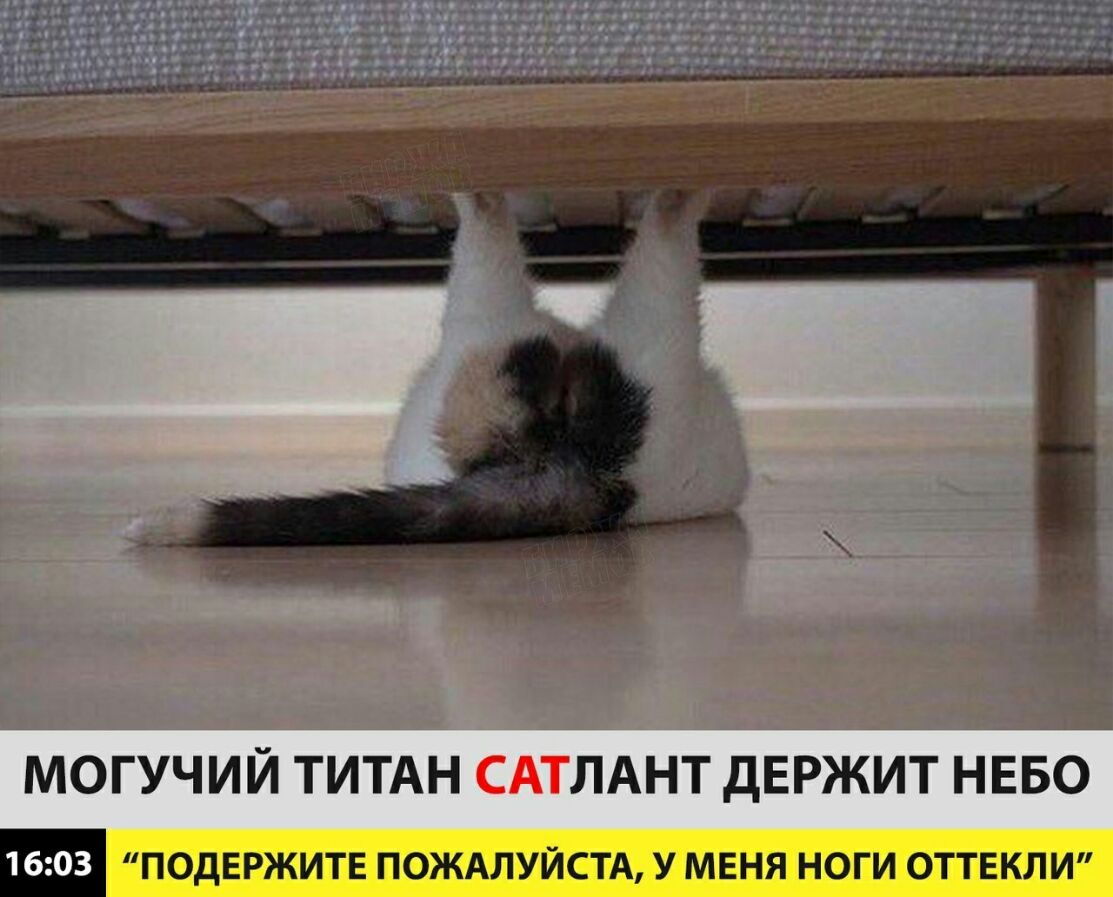 МОГУЧИЙ ТИТАН ЛАНТ ДЕРЖИТ НЕБО ПОДЕРЖИТЕ ПОЖАЛУЙСТА У МЕНЯ НОГИ ОТТЕКЛИ