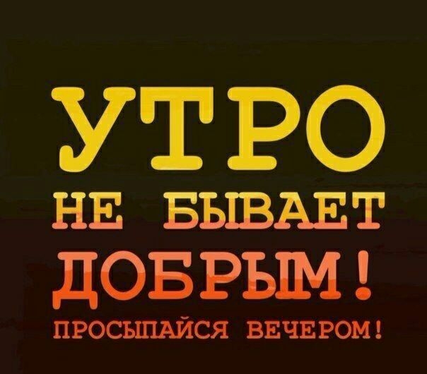 Появился новый компьютерный вирус бомж программы не трогает но роется в корзине