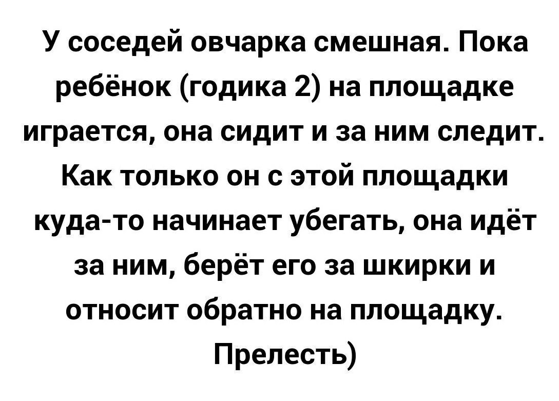 У соседей овчарка смешная Пока ребёнок годика 2 на площадке играется она сидит и за ним следит Как только он с этой площадки куда то начинает убегать она идёт за ним берёт его за шкирки и относит обратно на площадку Прелесть