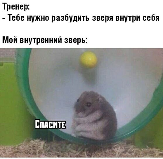 Тренер Тебе нужно разбудить зверя внутри себя Мой внутренний зверь ЕППЕИТЕ