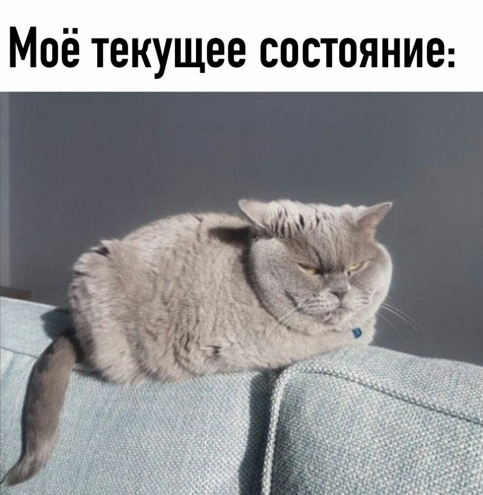 Моё текущее состояние
