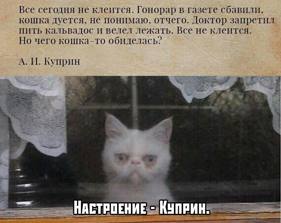 Все сегодня не клеится Гонорар в газете сбавили кошка дуется не понимаю отчего Доктор запретил__ пить кальвадос и велел лежать Все не клеится Но чего ношкгъто обиделась А И Куприн