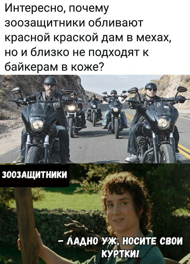 Интересно почему зоозащитники обливают красной краской дам в мехах но и близко не подходят к байкерам в коже АААНО УЖ НОСИТЕ СВОИ 11 КУРТКИ _ і