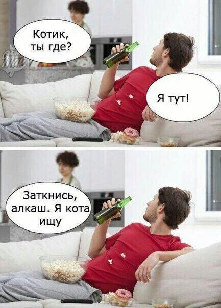 Заткнись алкаш Я кота