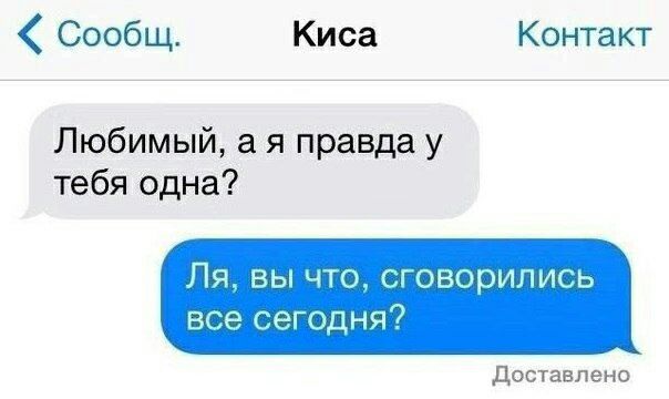 Сообщ Киса Контакт Любимый а я правда у тебя одна Ля вы что сговорились все сегодня доставлено