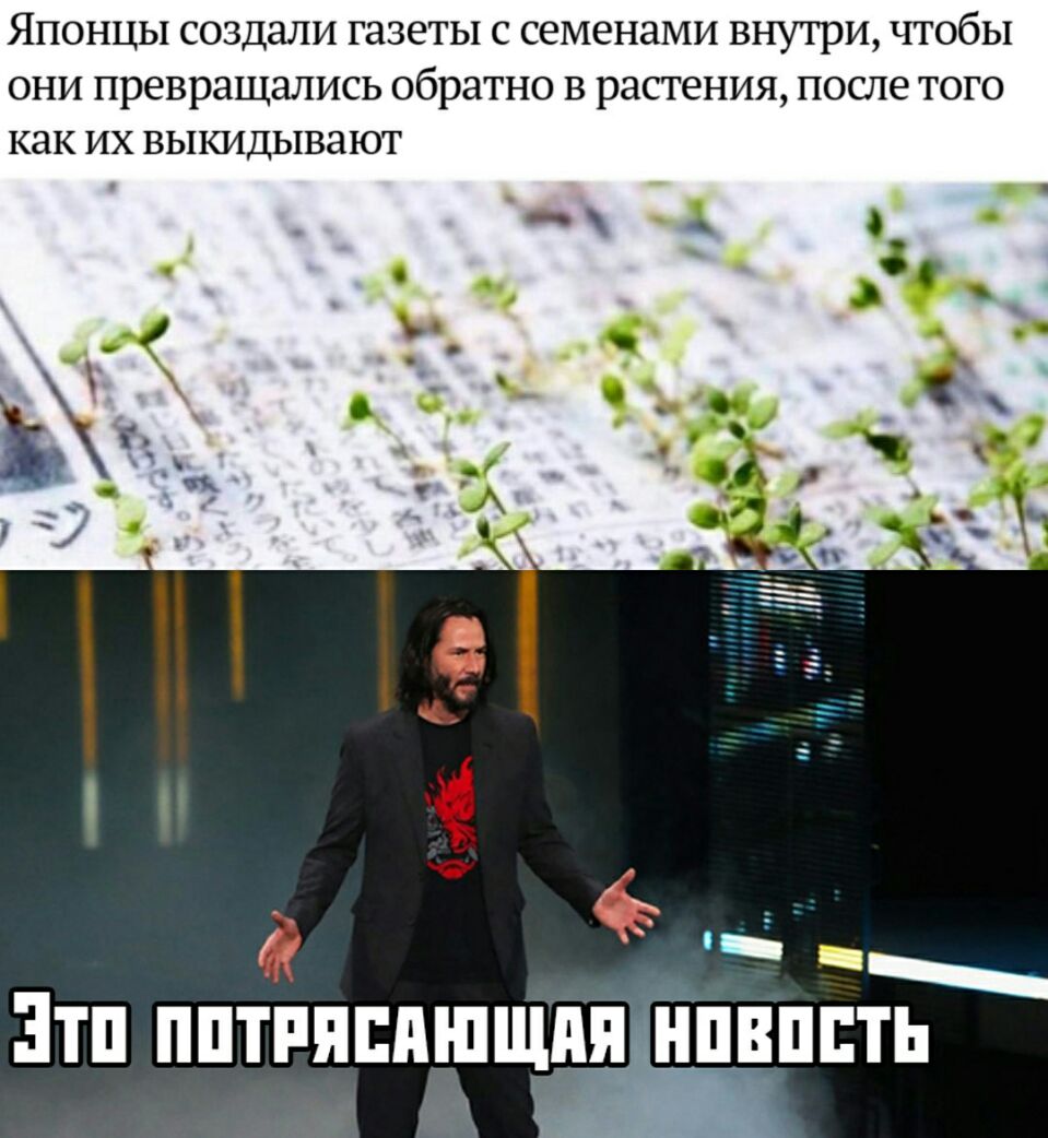 ЯПОНЦЫ СОЗДЭЛИ газеты С СЕМЕНЭМИ внутри ЧТОбЫ ОНИ превращались обратно В растения ПОСЛЕ ТОГО как ИХ ВЫКИДЫВЗЮТ ЭТП ППТРПППШЩДЯ НПВППТЬ