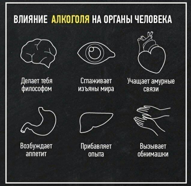 ВЛИЯНИЕ АЛКОГОЛЯ НА ПРГАНЫ ЧЕЛПВЕКА 590 Делает тебя Сглаживает Учащает амурные философом изъяны мира связи 939 Возбуждает Прибавпяет Вызывает аппетит опыта пбнимашки