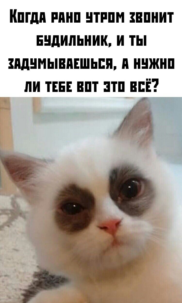 Кпгдп ппнп нтппм впнит нндипьник и ты пднмывпншьпя ннжнп пи ТЕБЕ впт пп всЁ