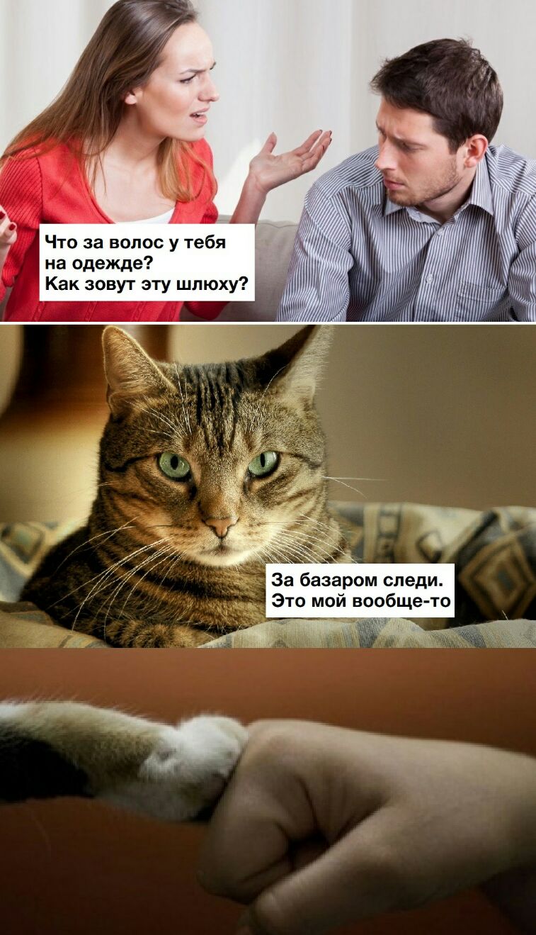 Что за волос у тебя на одежде Как зовут эту шлюху За базаром следи Это мой вообще то