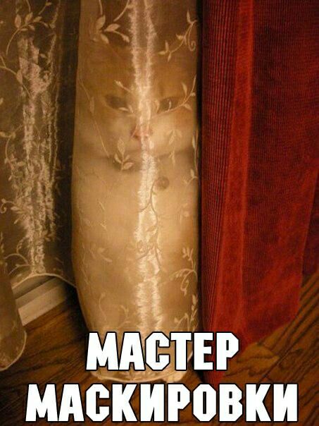 МАЩЕР мискиговки