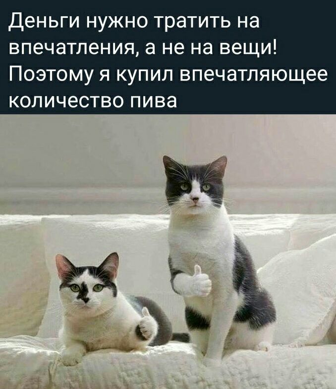 Деньги НУЖНО тратить на ВП6Ч8ТЛ6НИЯ а не на ВЭЩИ ПОЭТОМУ Я КУПИЛ ВП6Ч8ТЛЯЮЩ66 КОЛИЧ60ТВО пива