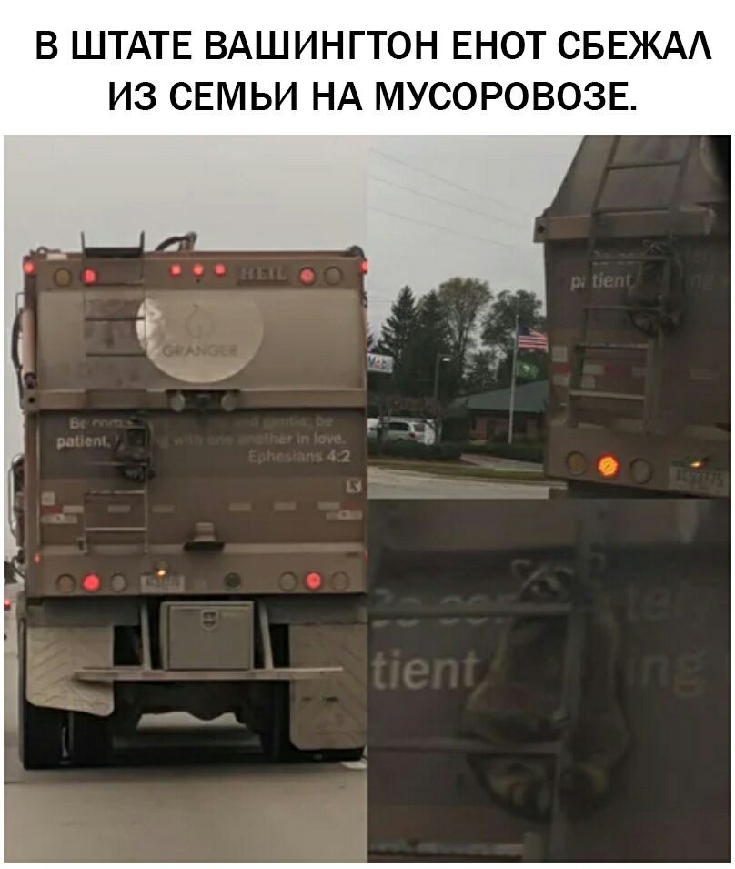 В ШТАТЕ ВАШИНГТОН ЕНОТ СБЕЖАА ИЗ СЕМЬИ НА МУСОРОВОЗЕ