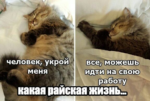 накал райская жизнь