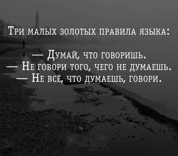 ТРИ МАЛЫХ ЗОЛОТЫХ ПРАВИЛА ЯЗЫКА ДУМАЙ что говоришь НЕ говори того чвго НЕ ДУМАЕШЬ НЕ всё что ДУМАЕШЬ говори